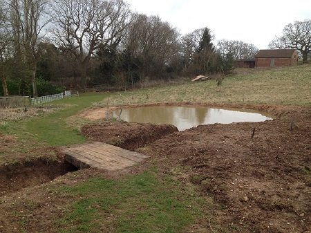 Solihull Tree Surgery - KSD Treeworks - Logs
