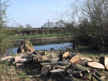Solihull Tree Surgery - KSD Treeworks - Construction/Landscaping