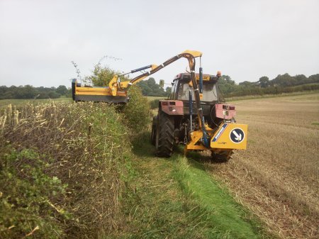 Solihull Tree Surgery - KSD Treeworks - Topping