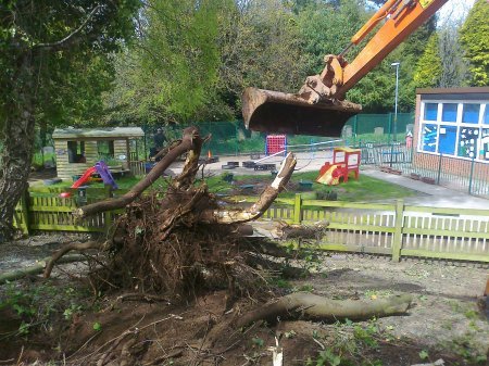 Solihull Tree Surgery - KSD Treeworks - Construction/Landscaping