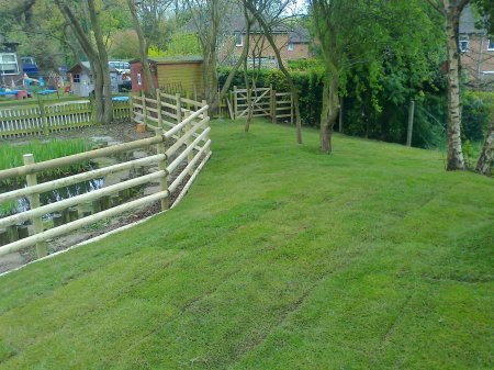 Solihull Tree Surgery - KSD Treeworks - Construction/Landscaping